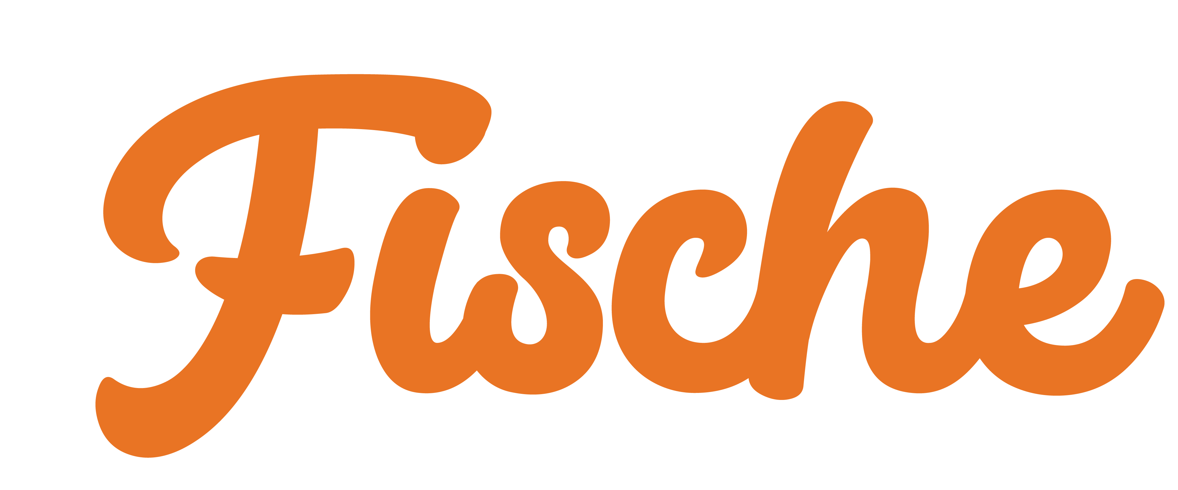 fiche logo